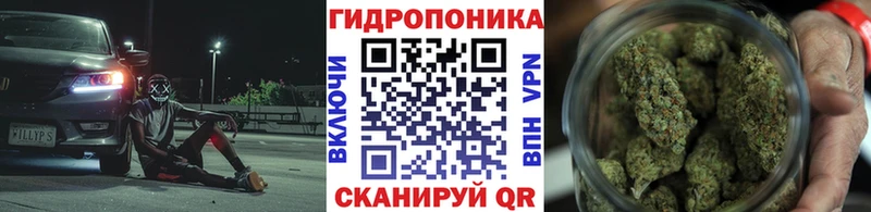Конопля сатива  Купить  Яхрома 